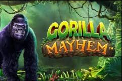 Gorilla Mayhem, slots semelhantes, comparação de slots, melhores slots, caça-níqueis de animais, recursos de bônus, volatilidade de slots